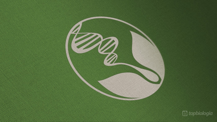 Logo Biologia em Tecido Verde